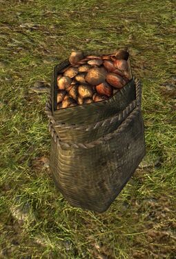 Sack of Scrubbed Potatoes