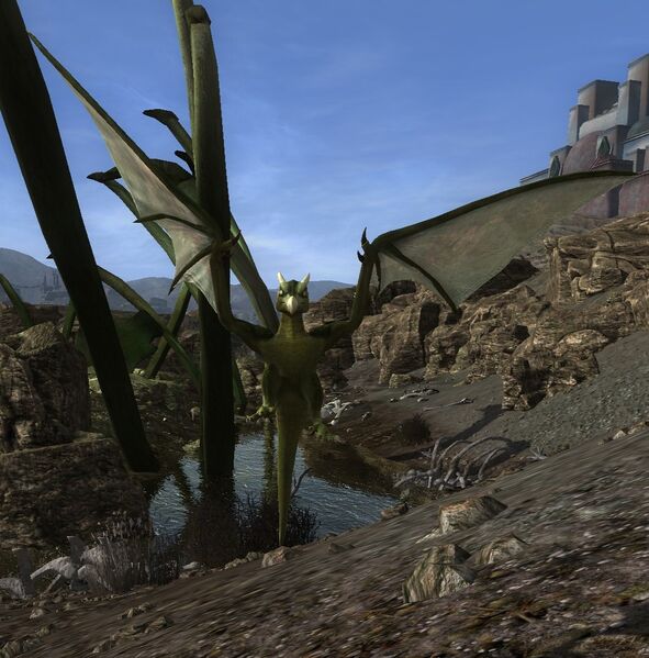 File:Wild-drake Whelpling.jpg