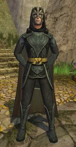 Image of Galadhrim Warden