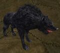 Mangy Warg Appearance 1  