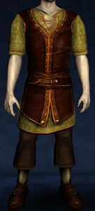 Short-sleeved Summer Tunic and Trousers