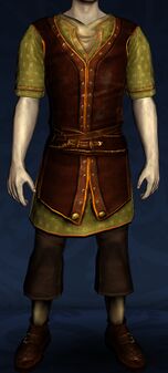 Short-sleeved Summer Tunic and Trousers