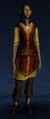 Short-sleeved Summer Tunic and Trousers