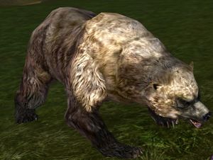 Stonedeans Hill-bear - Lotro-Wiki.com