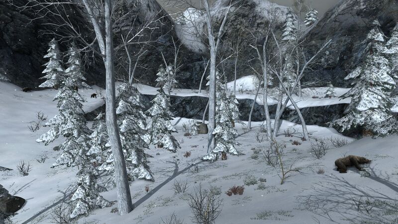 File:Vale of Thrain Grove.jpg