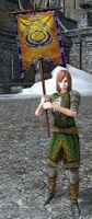 Elvish Swordswoman Herald of Victory