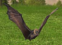Flitting Bats fly around the Greenfields of the Shire.