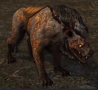 Maned Magma Warg Appearance