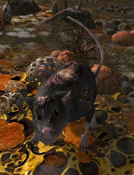 File:Monstrous Sul Madásh Rat.jpg