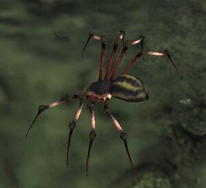 Widow Spiderling - Lotro-Wiki.com