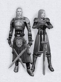 Lotro Lord of The Rings Online All Races and Class 