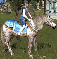 Image of Sea-side Steed