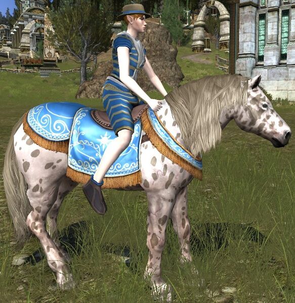 File:Sea-side Steed.jpg