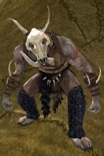 Boar-tribe Orc Defiler Appearance Before the Shadow Ultimate Fan Bundle