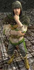 Image of Aeldir