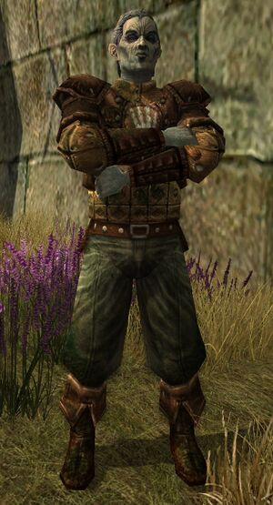 Hontimûrz Guard - Lotro-Wiki.com