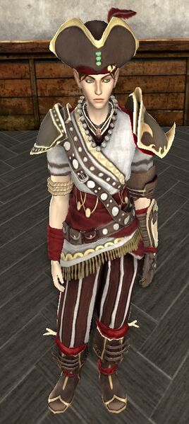 Armor, Front