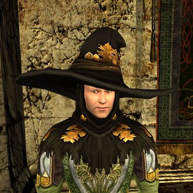 Cowl and Hat of the Autumn Sage
