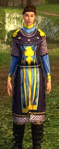 Elven Scale Hauberk