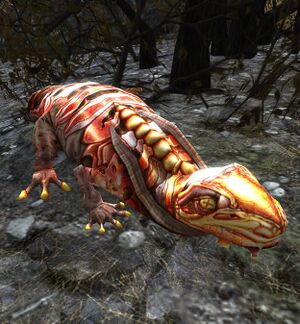 Fire-tongue Salamander.jpg