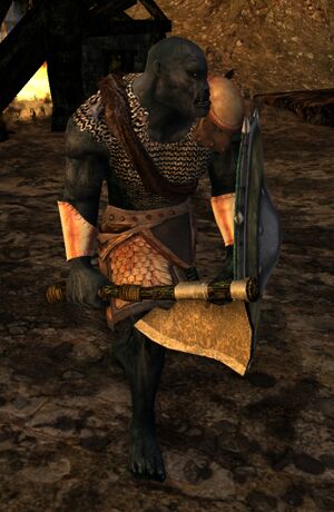 Half-troll Warden - Lotro-wiki.com