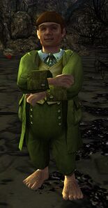 Image of Lost Hobbit