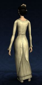 Elegant Dress