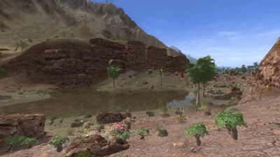 The closer the riverbed is to the coast, the more moisture it retains. In the western Khûd, there are even flowers.