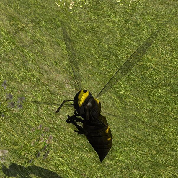 File:Big Wasp.jpg