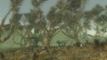 Thumbnail for version as of 16:24, 15 October 2025