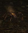 Thumbnail for version as of 02:57, 23 May 2025