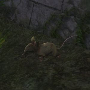 Biting Shrew (Lothlórien).jpg