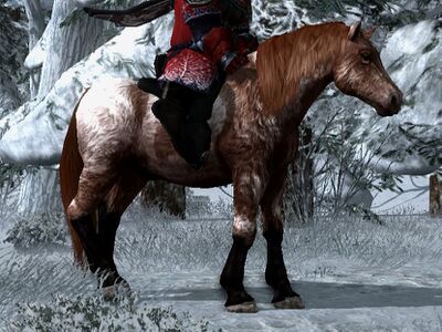 Shaggy Roan Coat: Red Roan