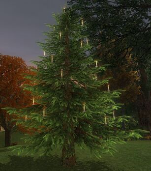 Celebratory Outdoor Winter Tree