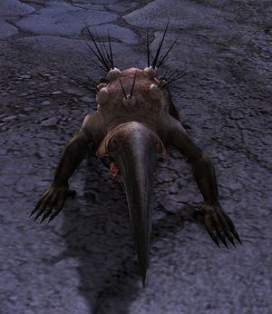 Crypt Digger.jpg
