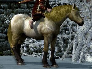 Dappled Coat: Dark Bay