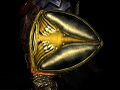Thumbnail for version as of 17:09, 19 May 2025