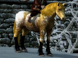 Shaggy Roan Coat: Brown