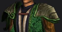 Wandering Bard's Shoulders