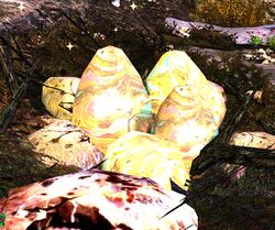 Image of Wild-drake Eggs