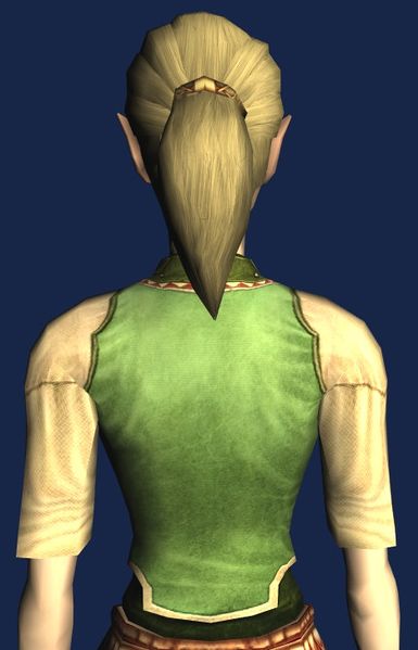 File:Dwarf Quilted Shirt (back).jpg