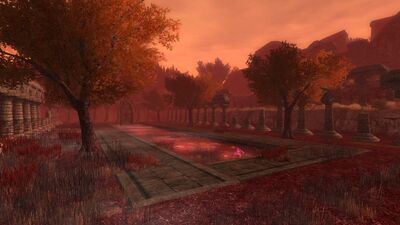 The reflecting pool and garden