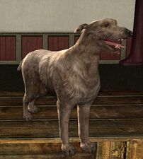 Farmer Maggot's Dog