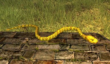 Yellow Snake