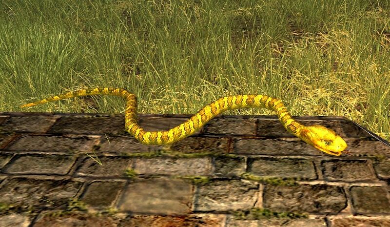 File:Yellow Snake.jpg