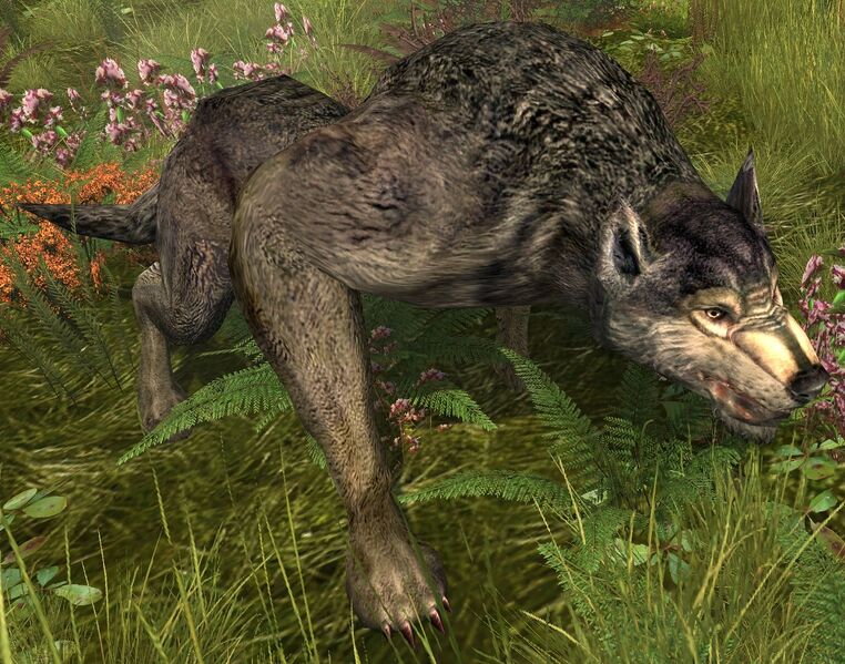 File:Angle Hunter.jpg