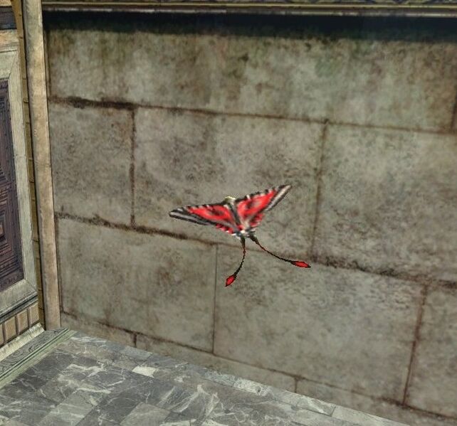 File:Brightly-coloured Butterfly.jpg