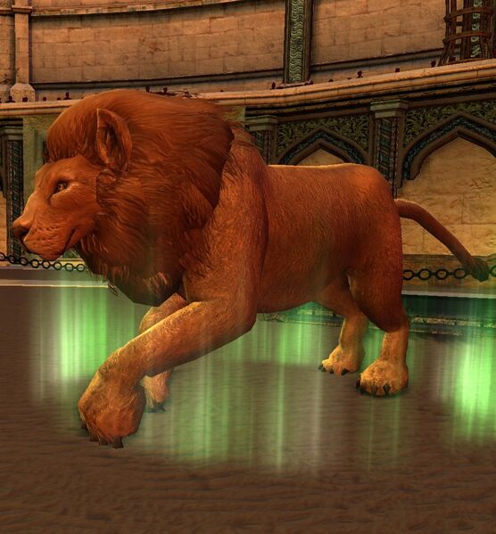 File:Savannah Lion (Dahâl Huliz).jpg