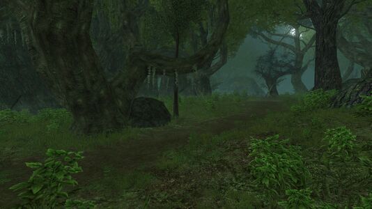 Weathered path in the glade