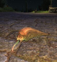 Curious Slug - Lotro-Wiki.com